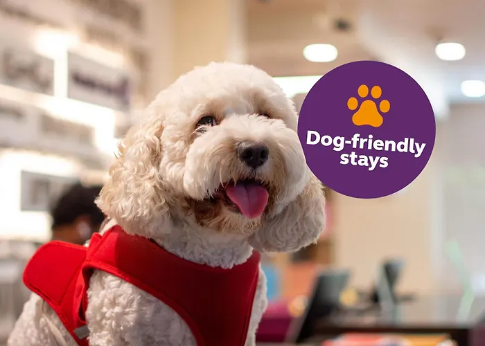 Hôtel 3 étoiles: Premier Inn Dubai Al Jaddaf